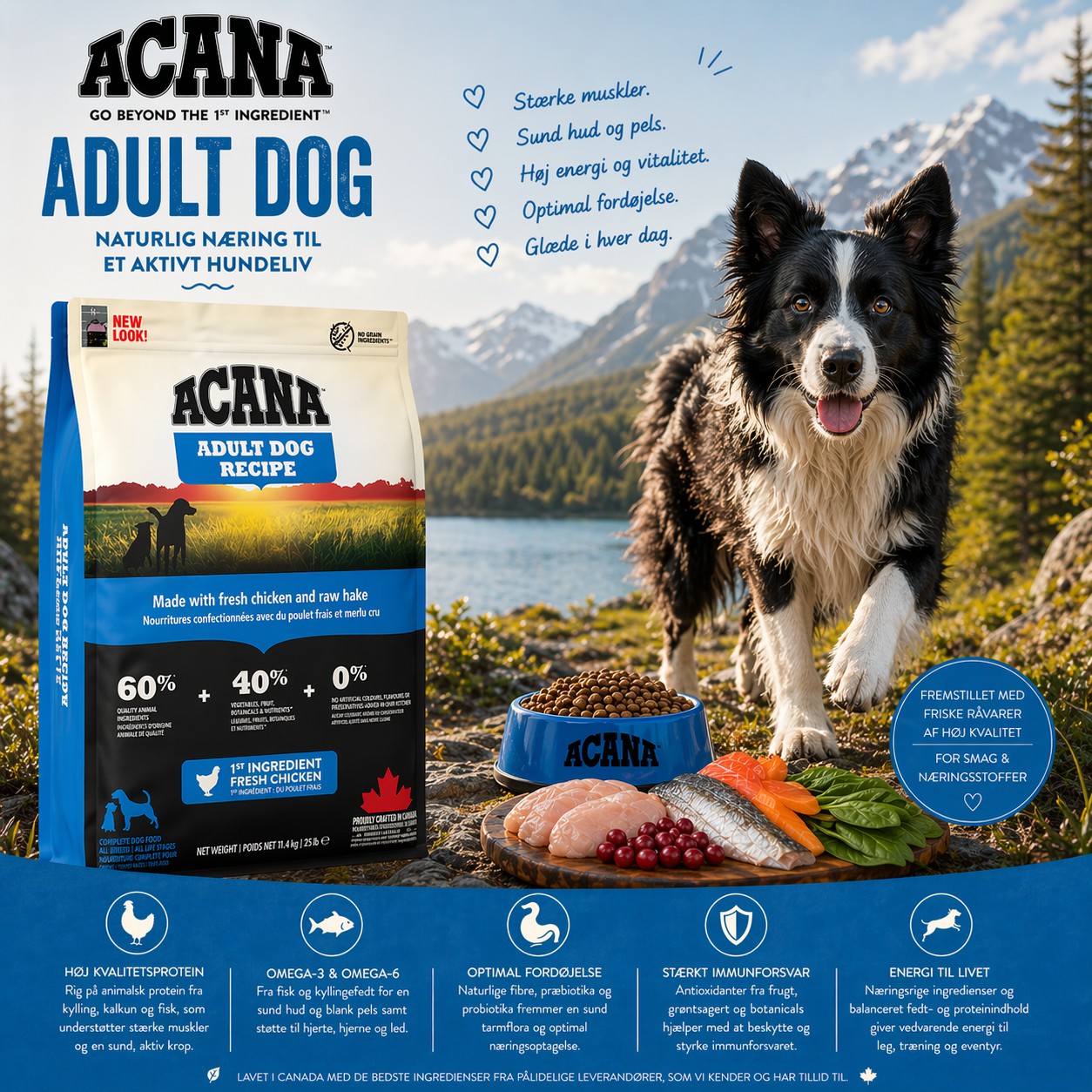 ACANA Adult Dog - Naturlig næring til et aktivt hundeliv