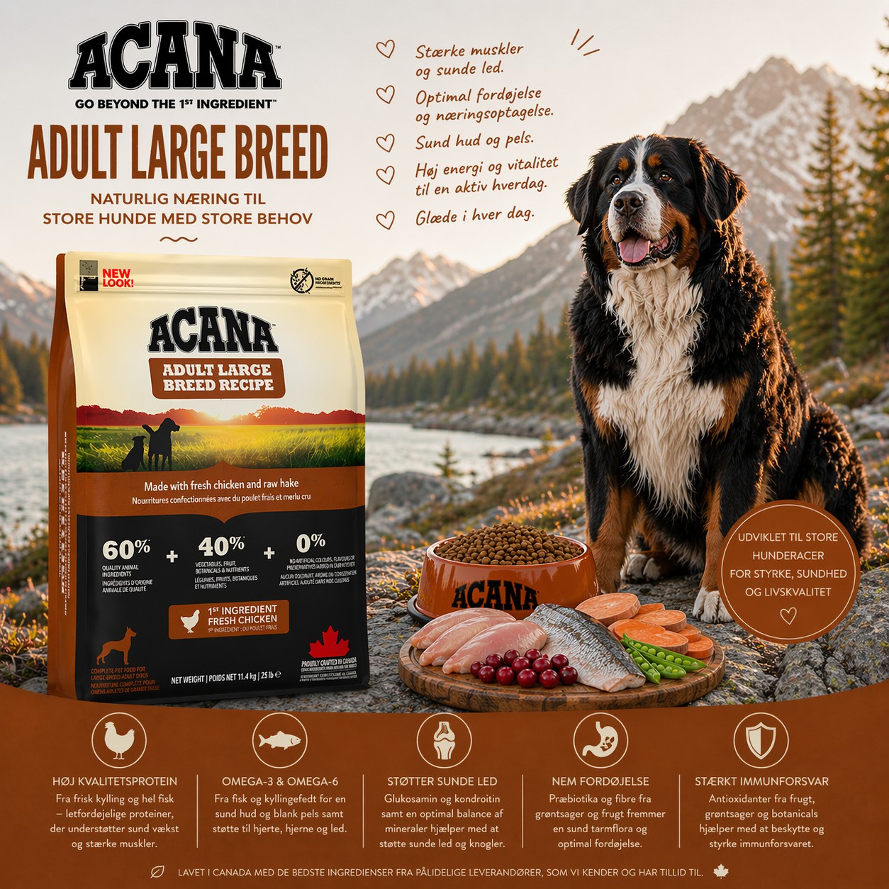ACANA Adult Large Breed - Naturlig næring til store hunde med store behov