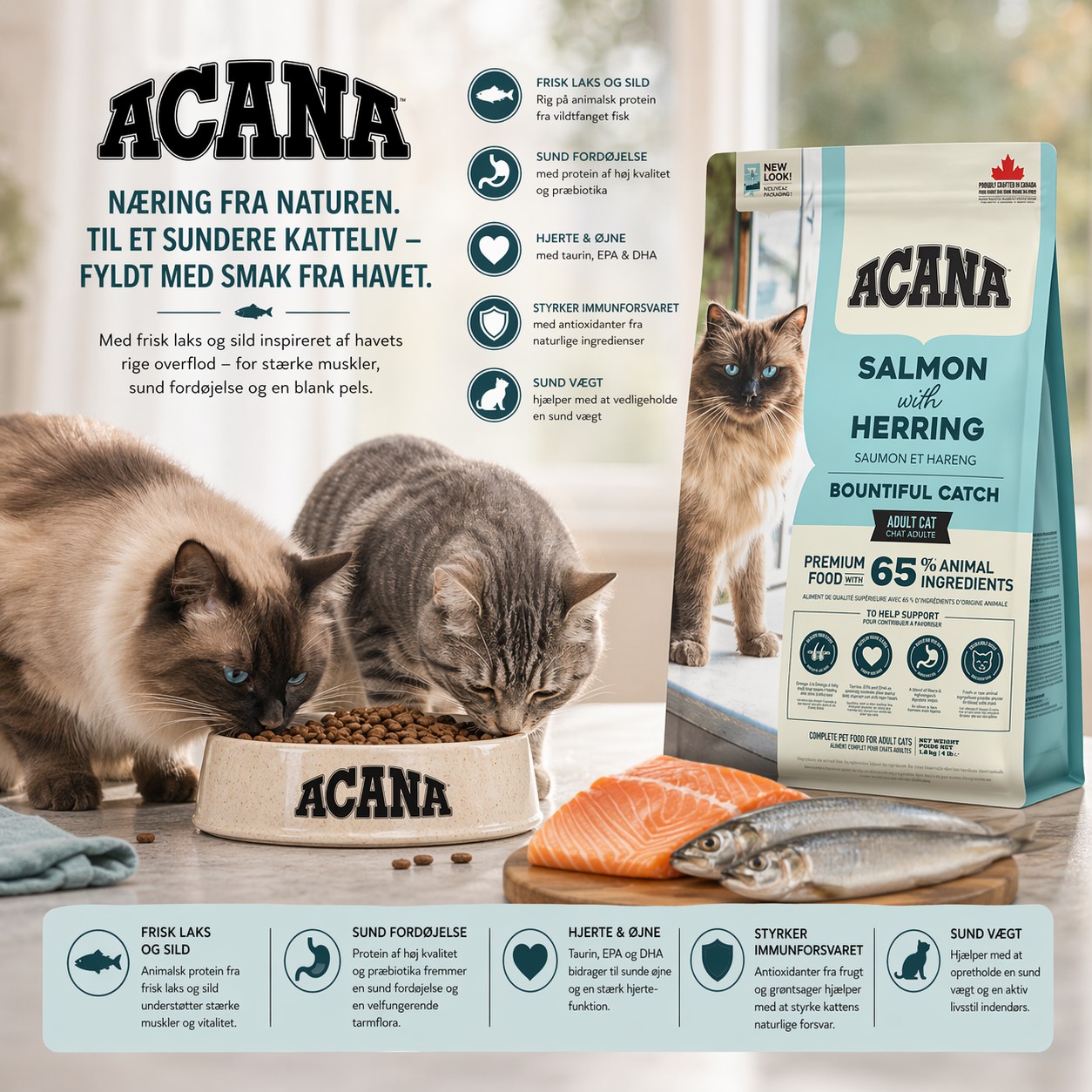ACANA Bountiful Catch - Frisk laks og sild
