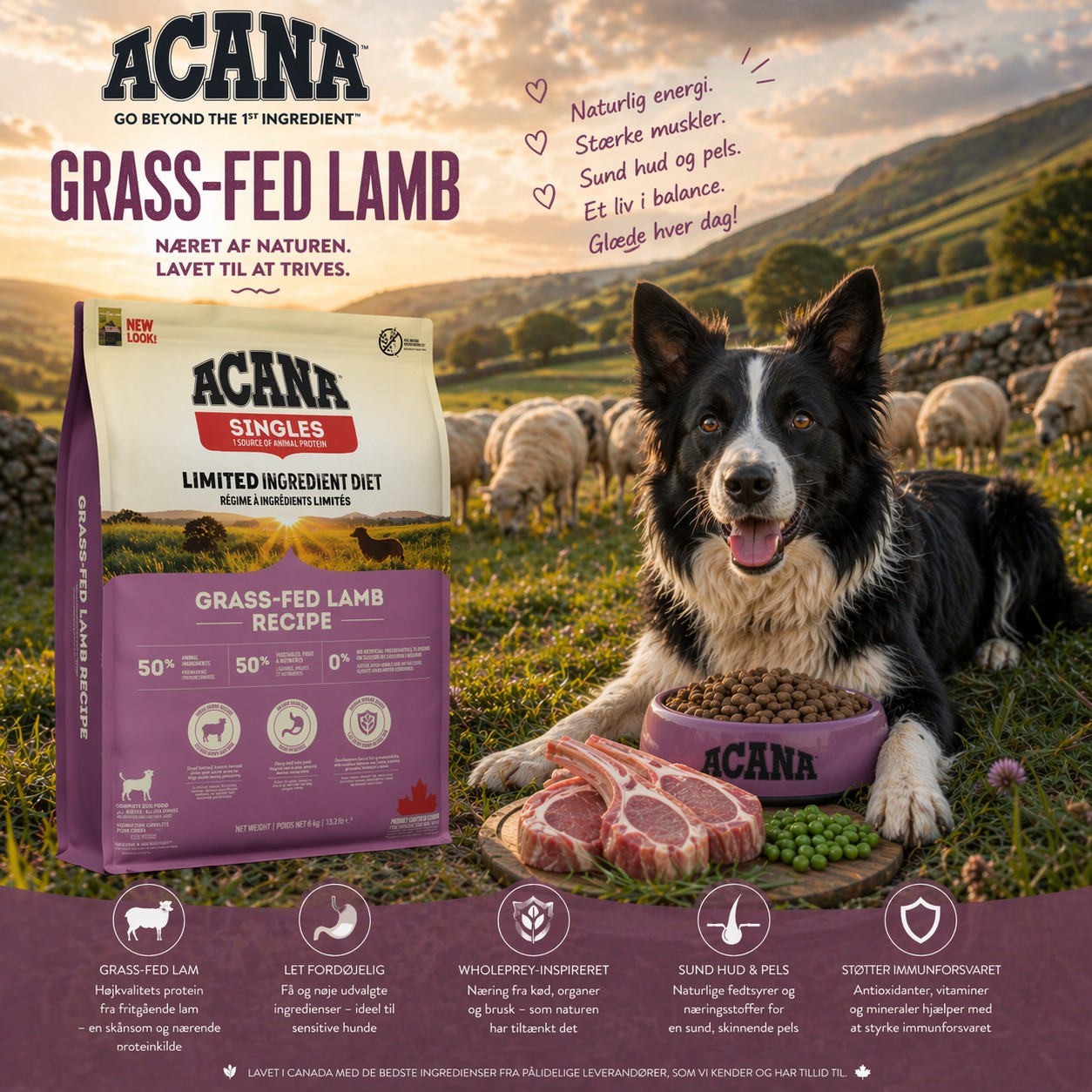 ACANA Grass-Fed Lamb Singles - Næret af naturen, lavet til at trives