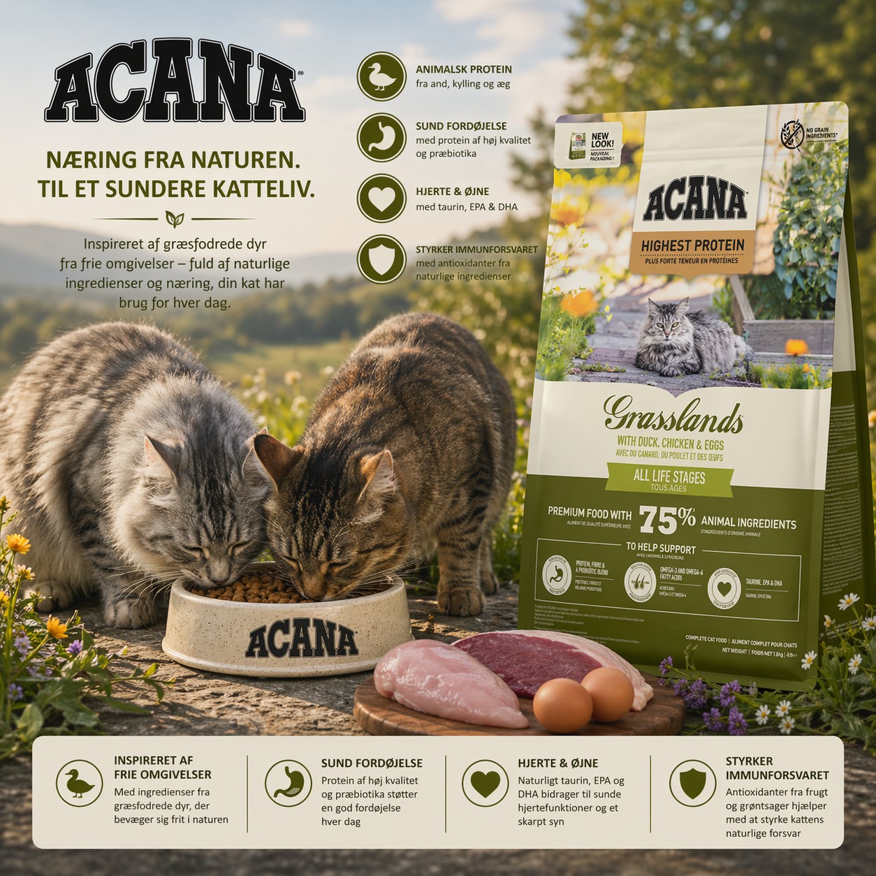 ACANA Grasslands Cat - And, kylling og æg