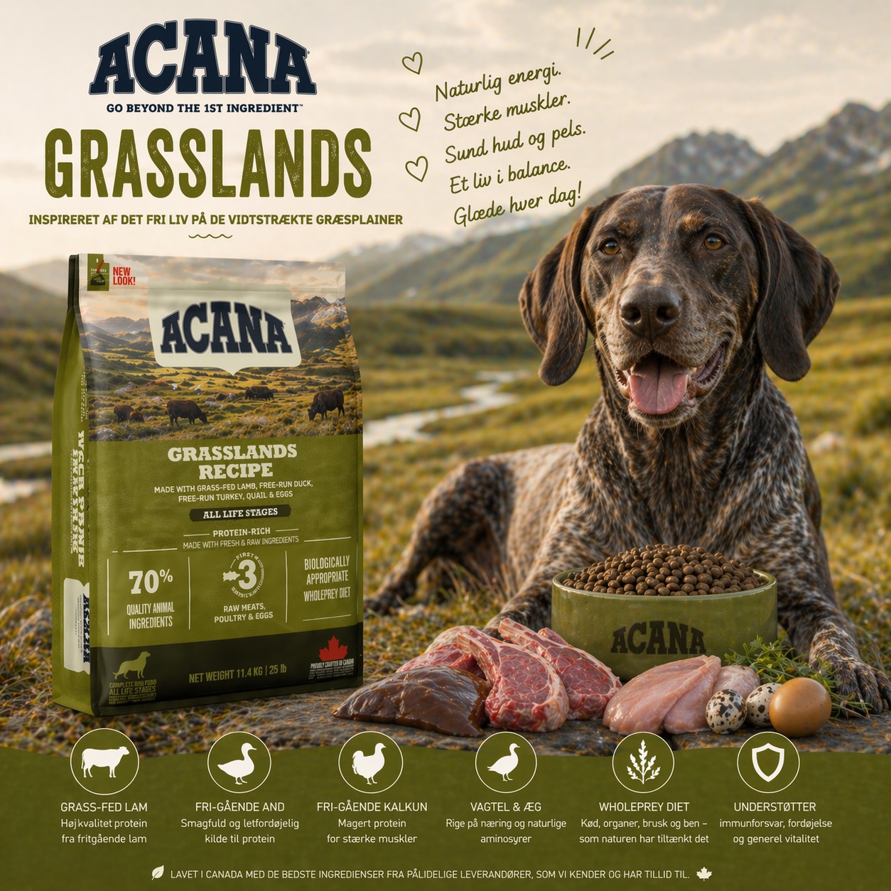 ACANA Grasslands - Inspireret af det fri liv på de vidtstrakte græsplainer