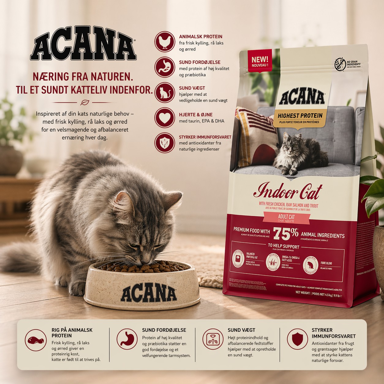ACANA Indoor Cat - Highest Protein