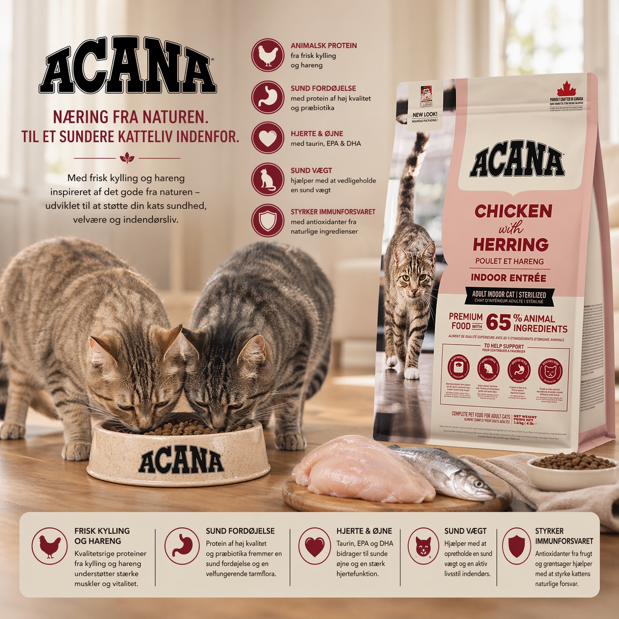 ACANA Indoor Entrée - Til indekatte