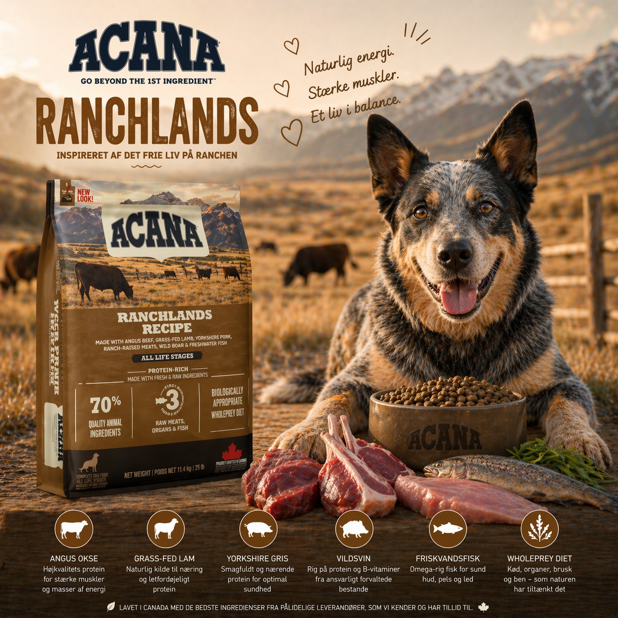ACANA Ranchlands - Inspireret af det frie liv på ranchen