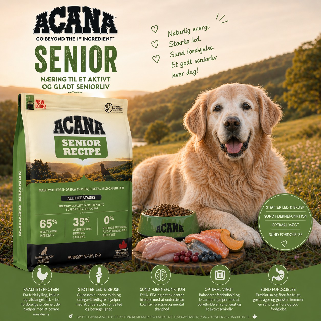 ACANA Senior - Naturlig næring til ældre hunde